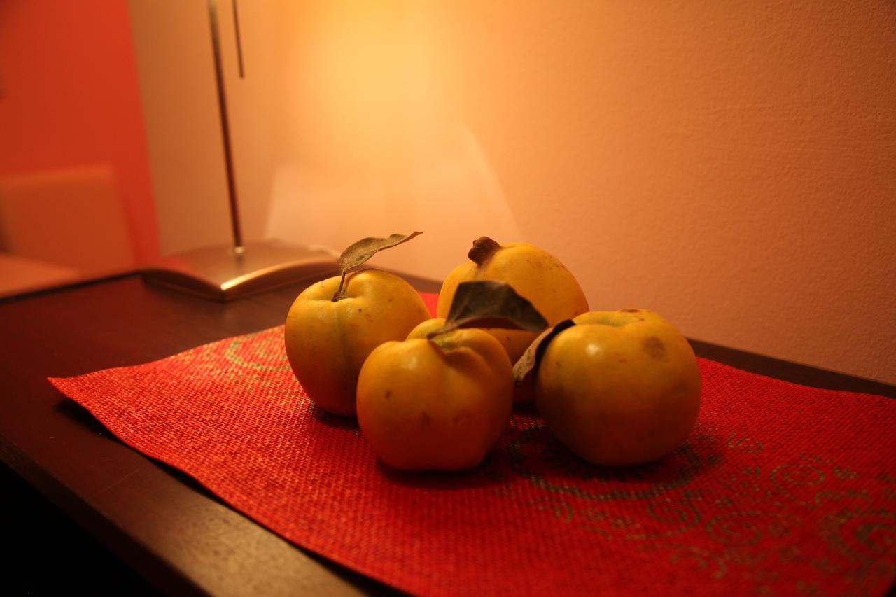 Momo'S Studio Apartment Subotica Dış mekan fotoğraf